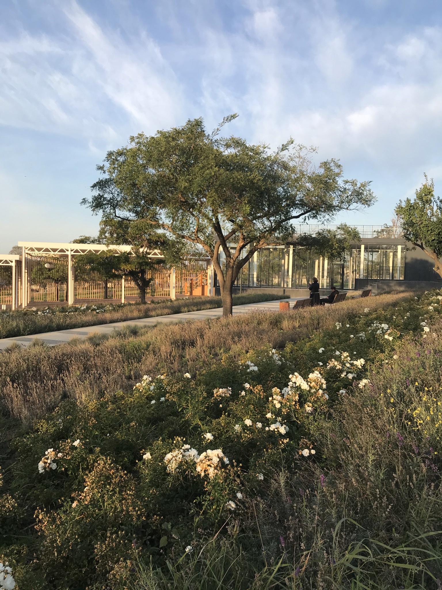 Фото Лазурный