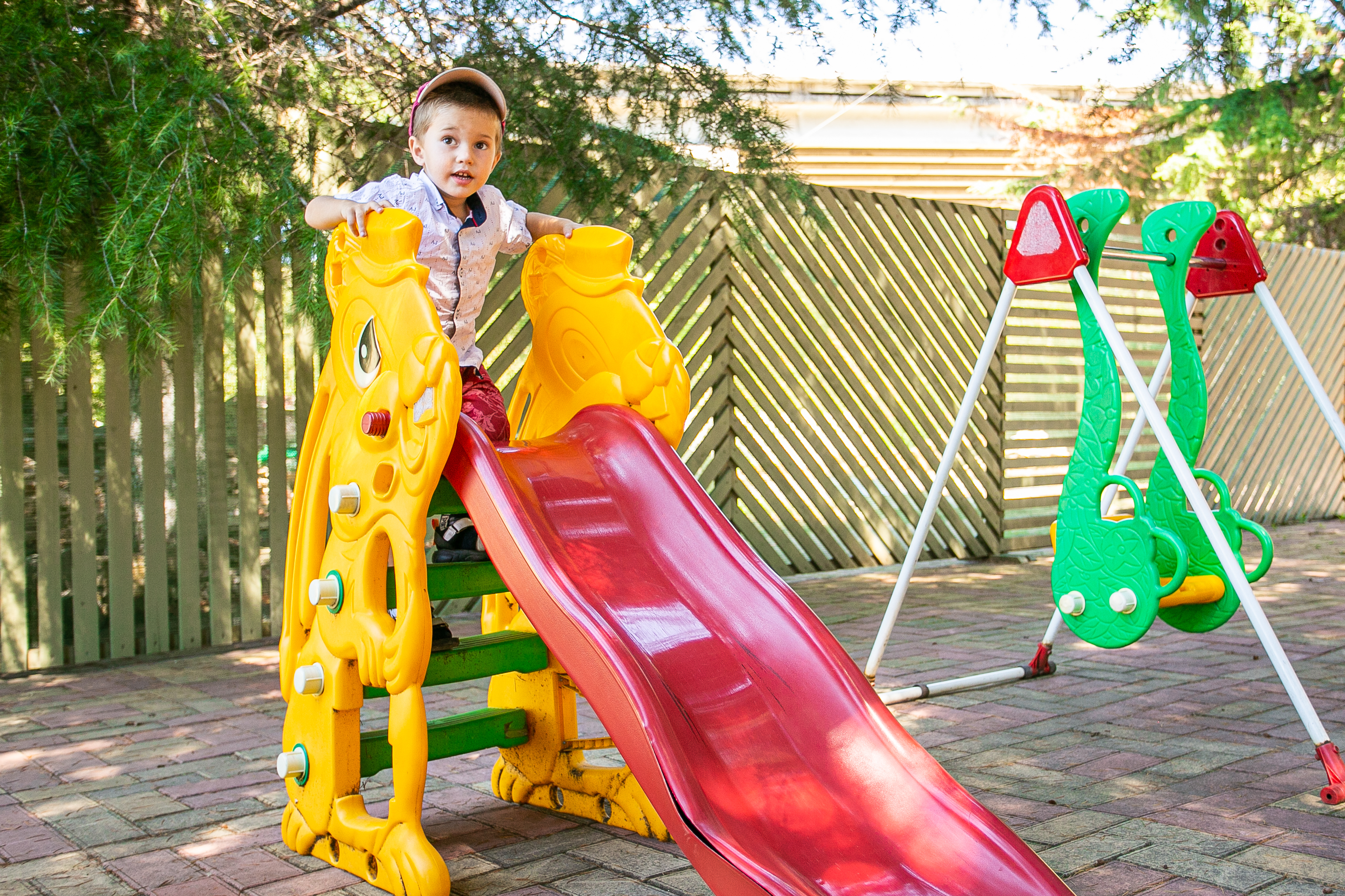 Фото Гости Кавказа