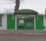 Ника (Чистополь, ул. Мира, 38), аптека в Чистополе