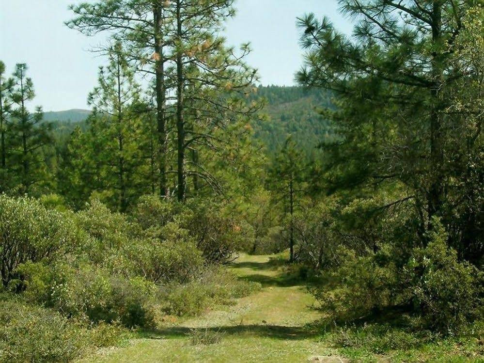 Фото Brownsville Motel