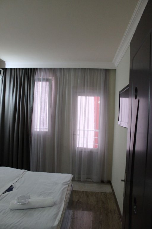 Фото Дельфин