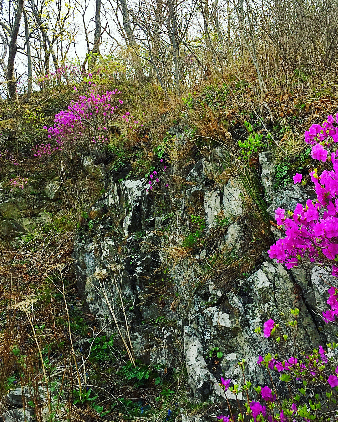 Фото Береговая