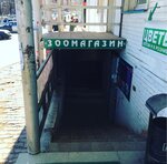 Верный Друг (ploshchad Generala Kuznetsova, 1А), pet shop