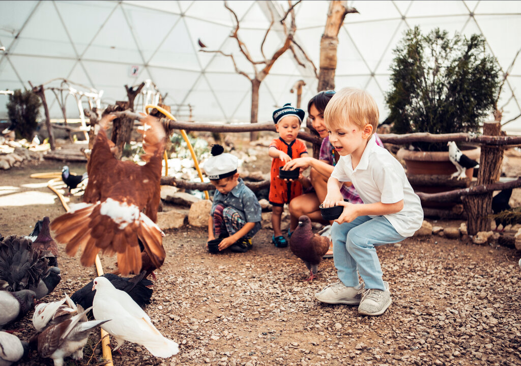 Excursiones Dinoteriy Bird park, , foto
