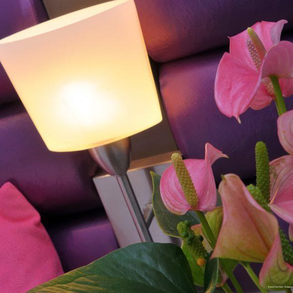 Фото Baross City Hotel