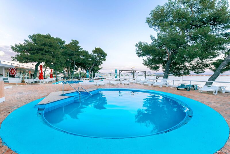 Фото Hotel Punta