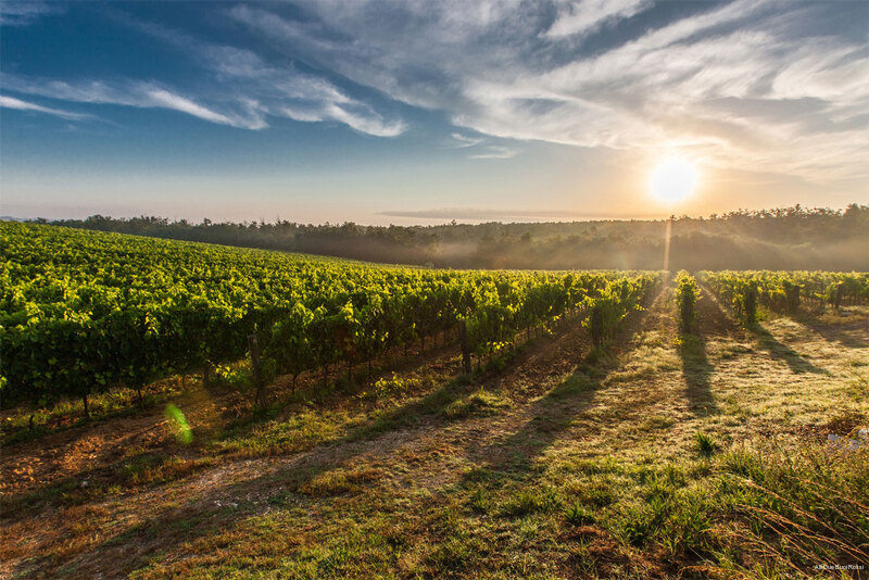 Фото Hotel Alli Due Buoi Rossi