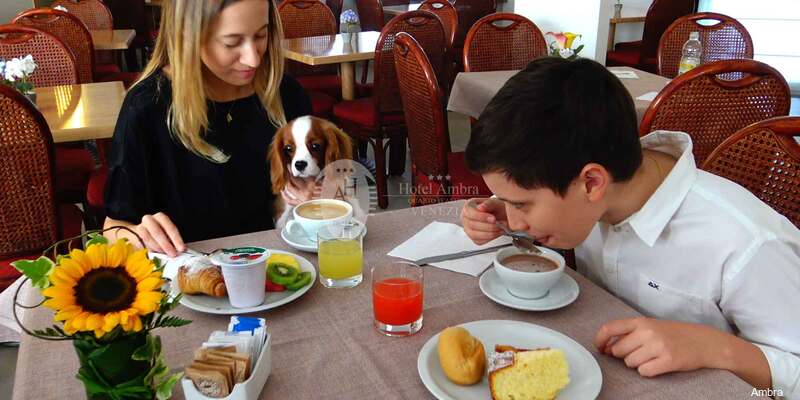 Фото Hotel Ambra
