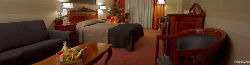 Фото Hotel Divinus