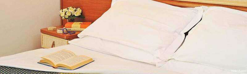 Фото Hotel Ausonia