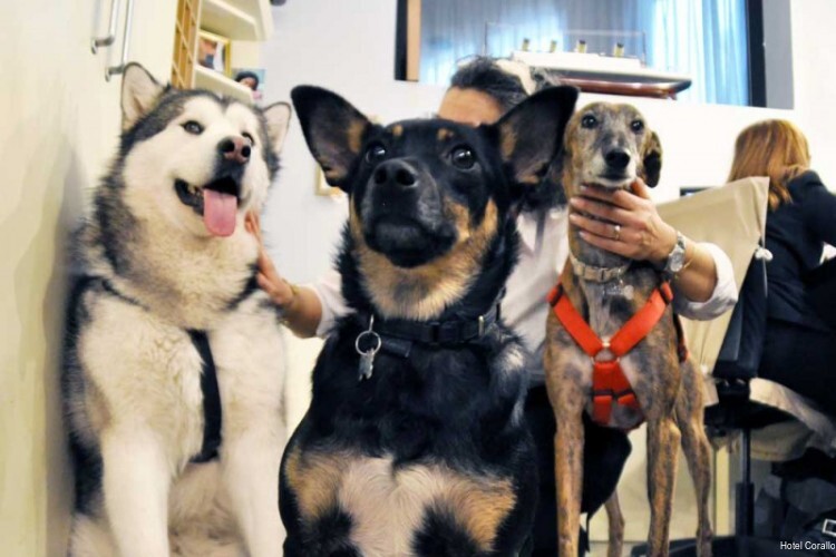 Фото Hotel Corallo Rimini