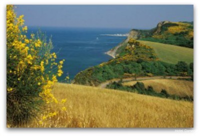 Фото Отель Darsena