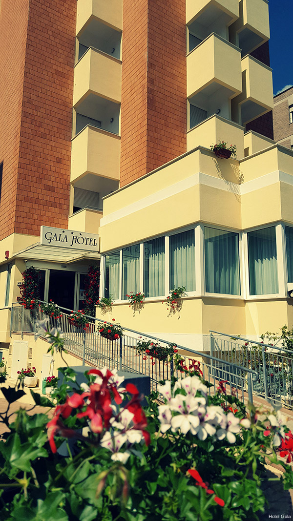 Фото Gala