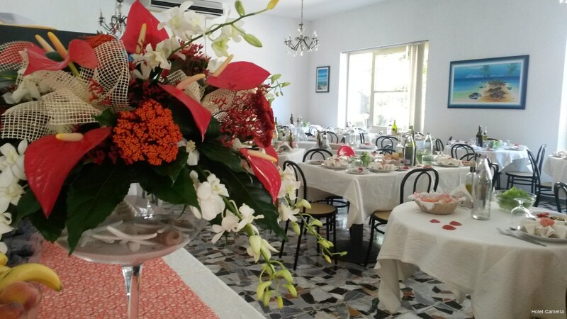 Фото Hotel Camelia