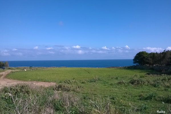 Фото Hotel Rodia