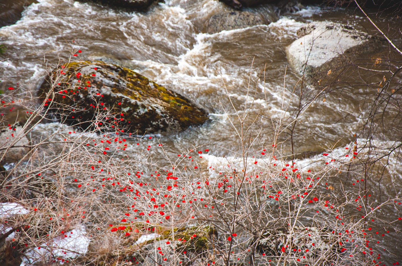 Фото Старые друзья Белокуриха