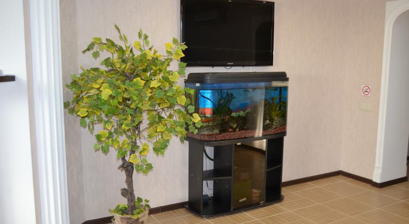 Фото Европейская