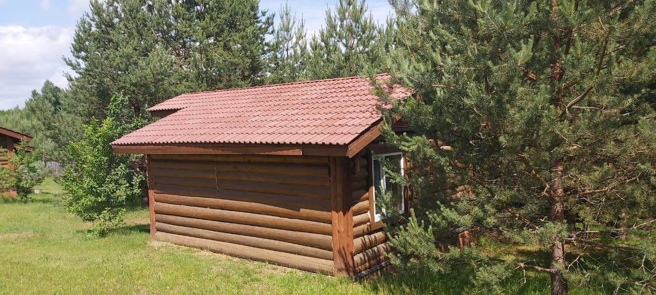 Фото Боровое