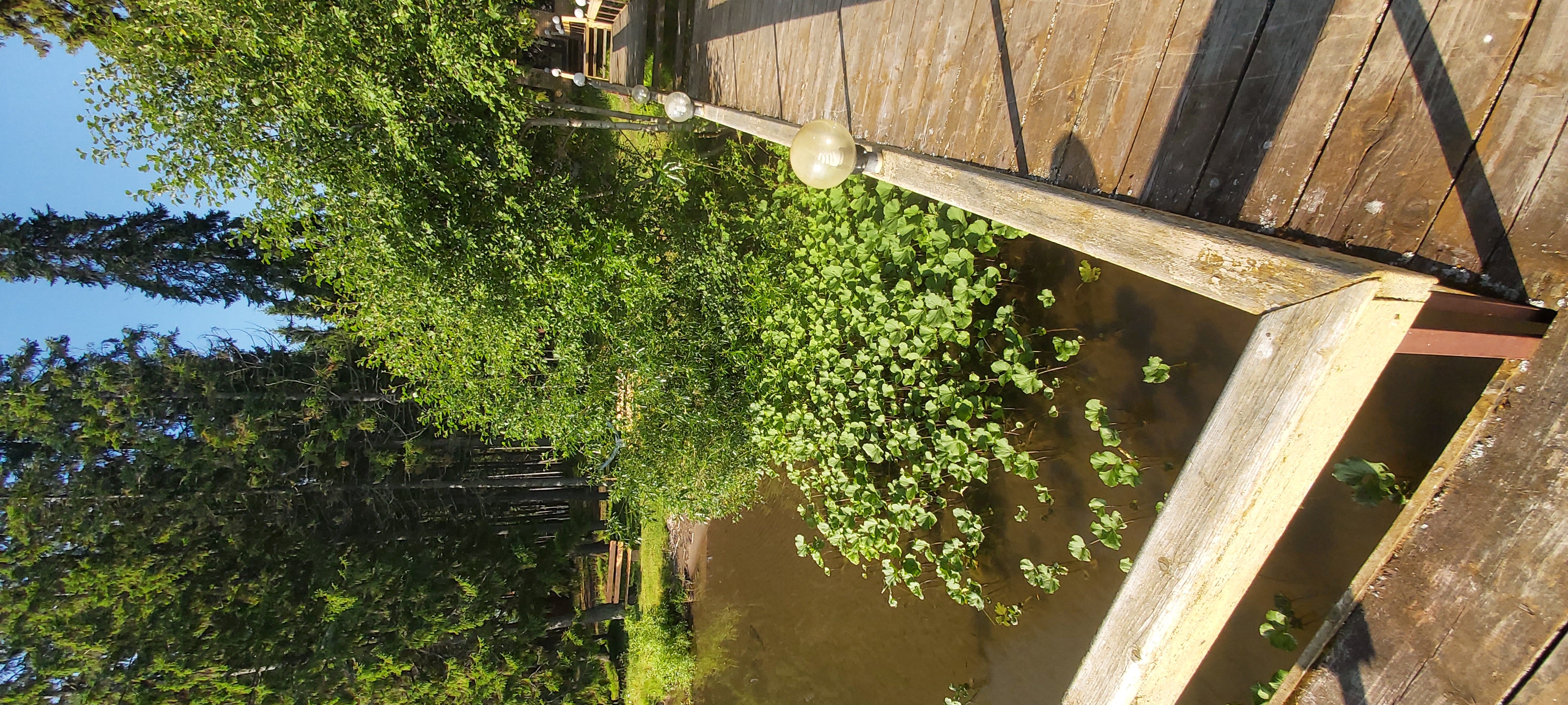 Фото Русская усадьба