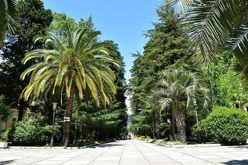 Санаторий Санаторий МВО Сухум в Сухуме