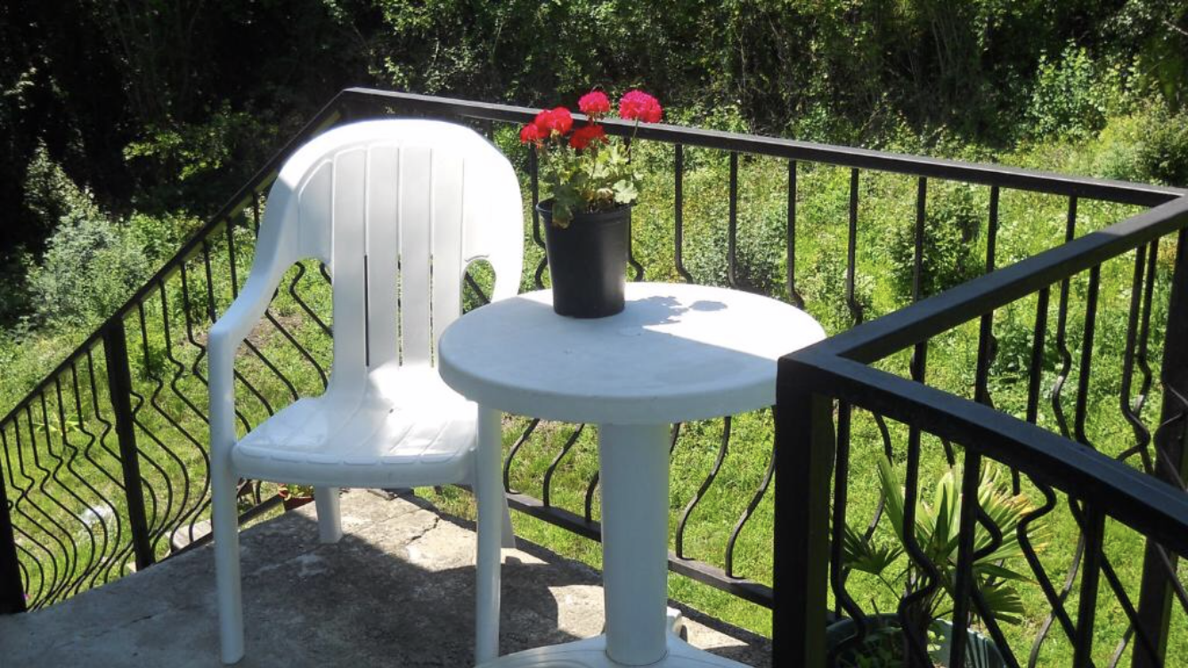 Фото Резеда