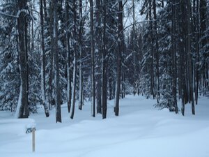 Здоровье