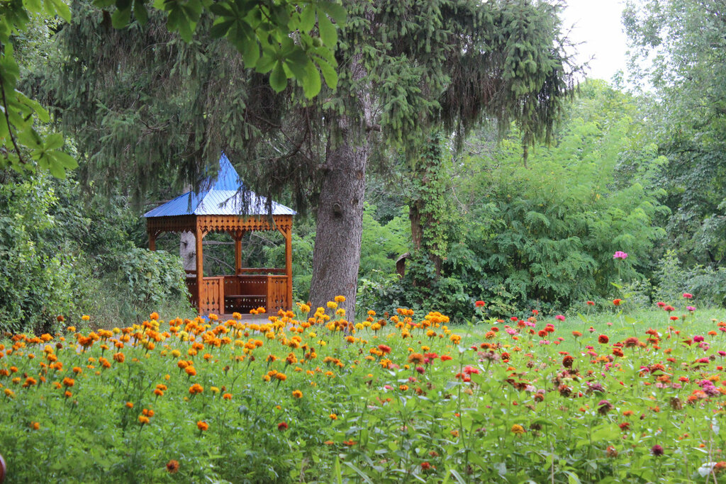 Sanatorium Sanatorium of Pady, Saratov Oblast, photo