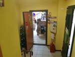 А за шариками к нам (Bol'shevistskaya Street, 48) ، لوازم قضاء عطلة