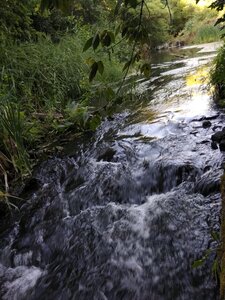 Waterfall (Tambov Region, Petrovskiy munitsipalny okrug, reka Shekhmanka), waterfall