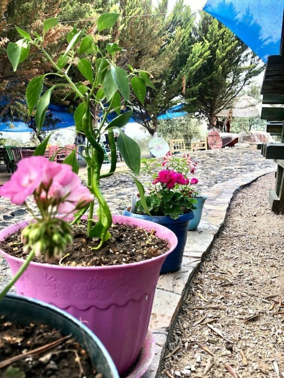Kaymak Tepesi Tatil Evi, otel, Küçükkuyu Gökçetepe Mah., Akgün Albayrak