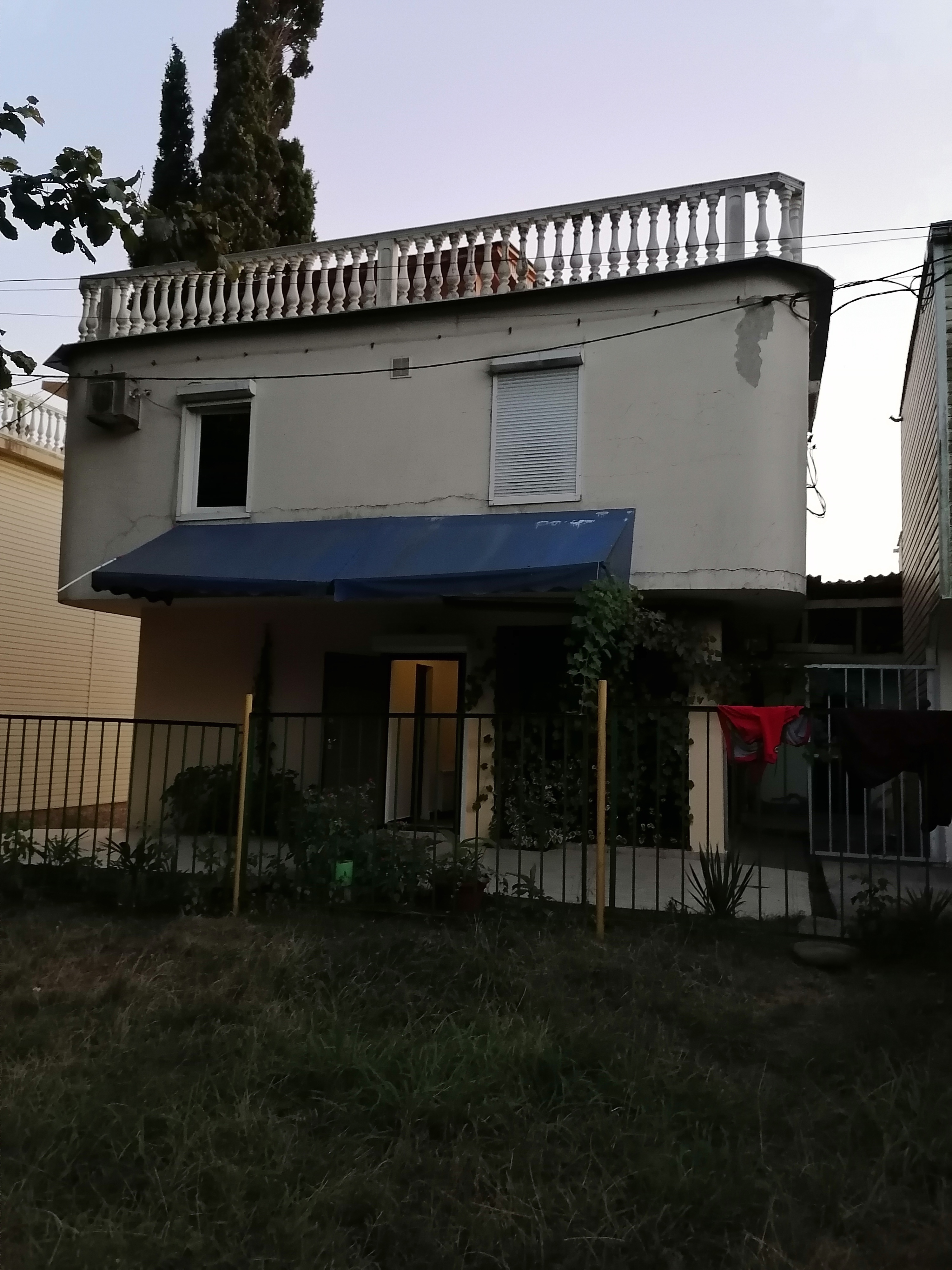 Фото Кипарис