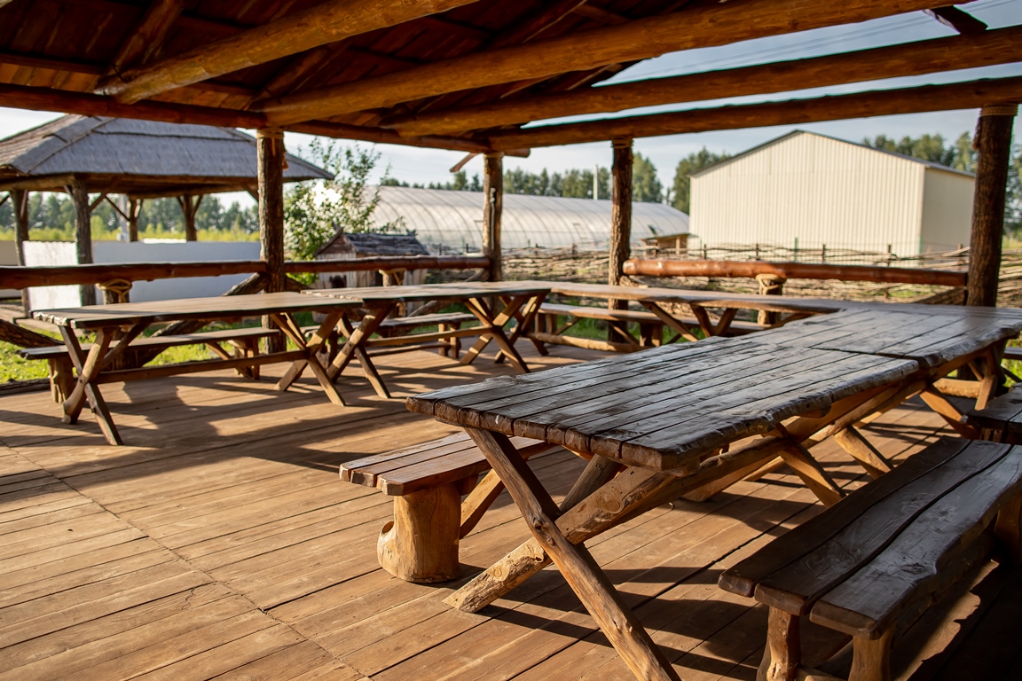 Фото Своя ферма