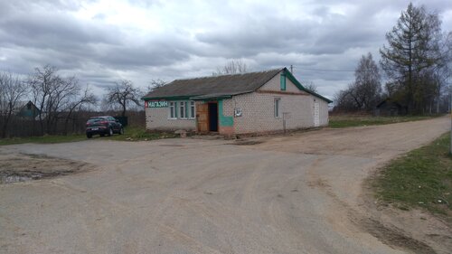 Grocery Grocery store, Mogilev District, photo