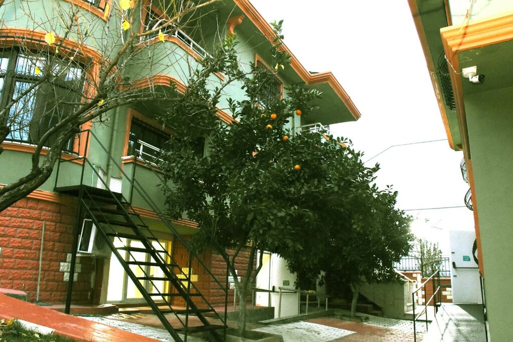 Medical rehabilitation centre Private Academic Therapy Special Education and Rehabilitation Center, Istanbul, photo