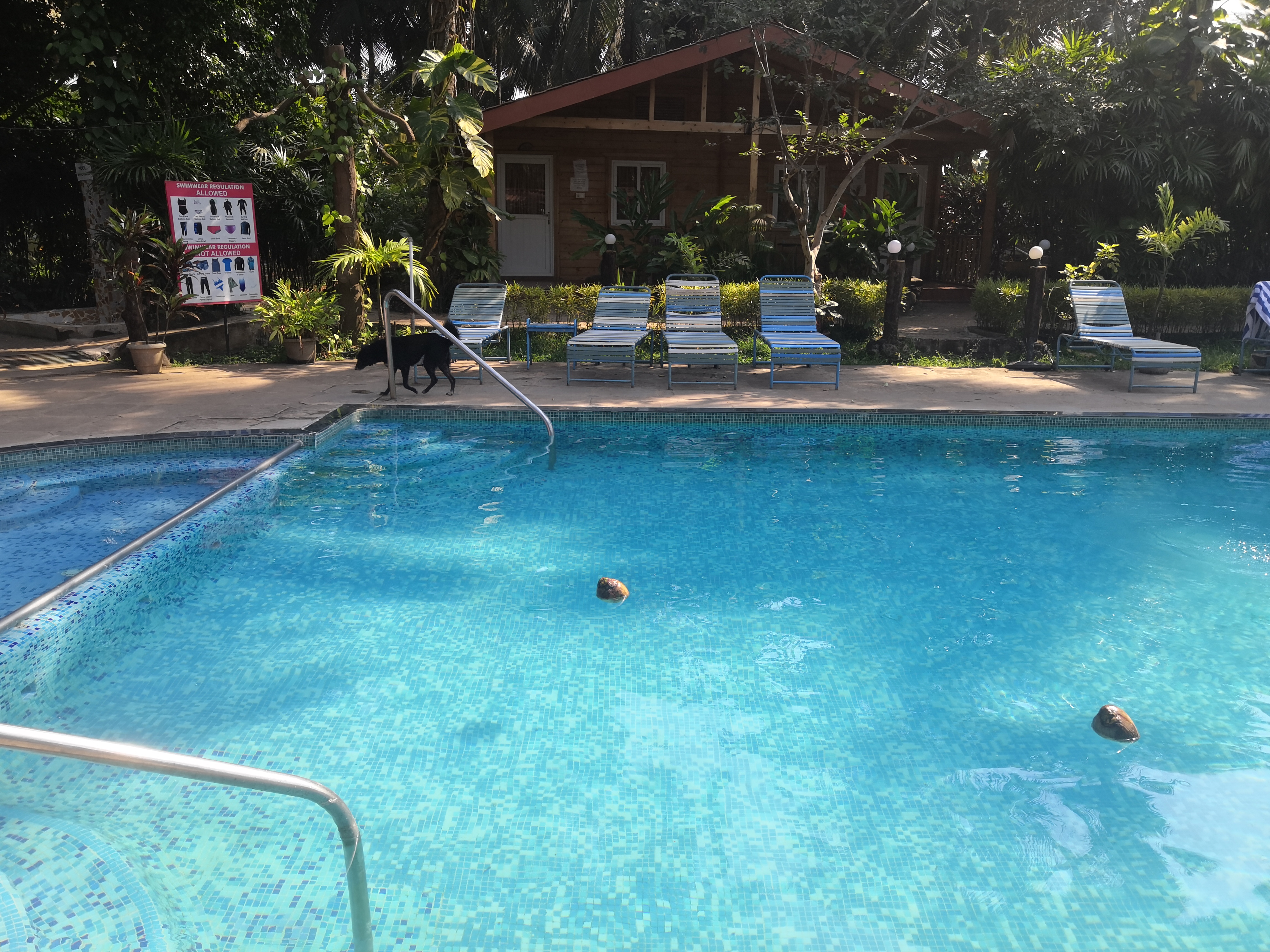 Фото Alagoa Resort