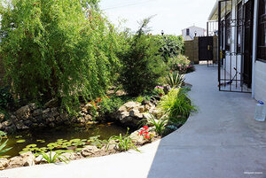 Звёздная Тишина