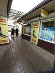 Изготовление памятников и надгробий (Vladimira Nevskogo Street, 48З/11) ، شواهد القبور