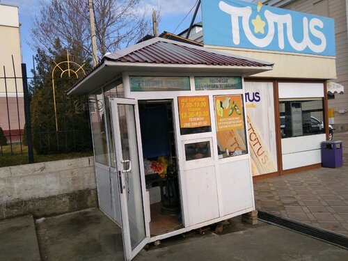 Kelinning mushukining yaqindan olingan surati