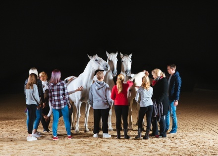 Фото Hotel Maestoso