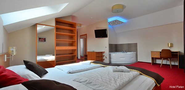 Фото Hotel Platan