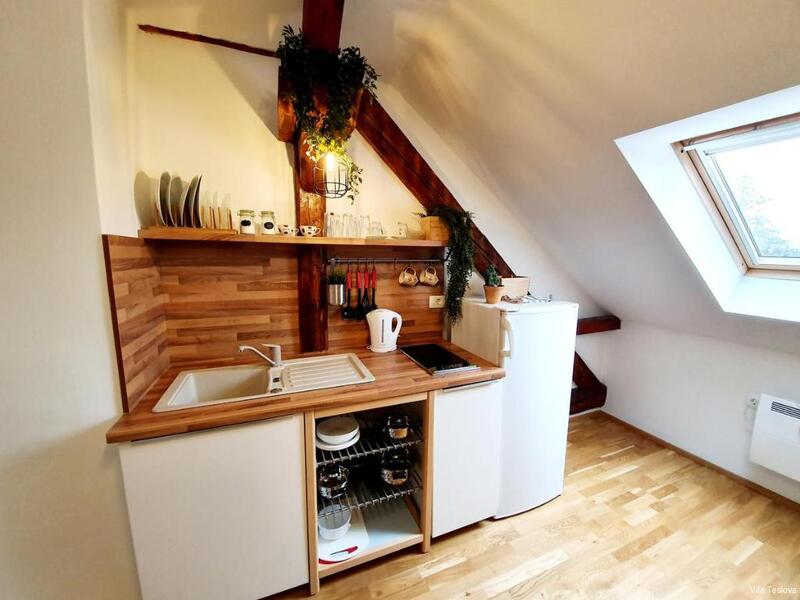 Фото Vila Teslova