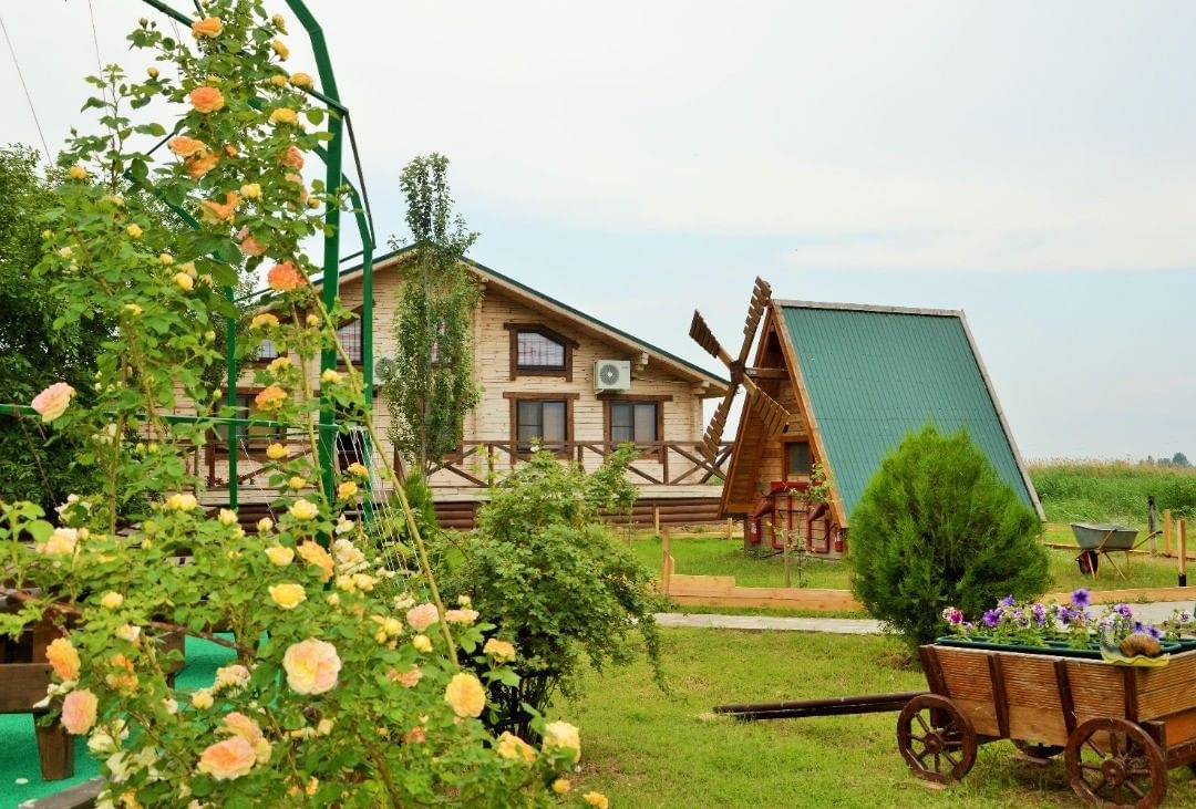 Фото Золотой Лотос