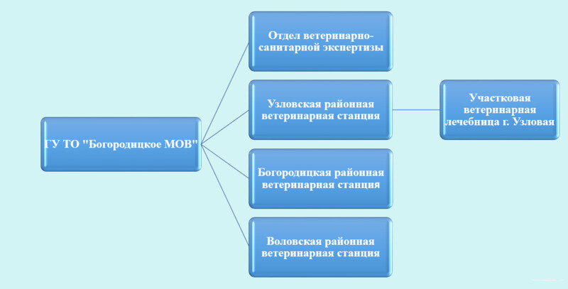 Структурная схема организации ветеринарная клиники