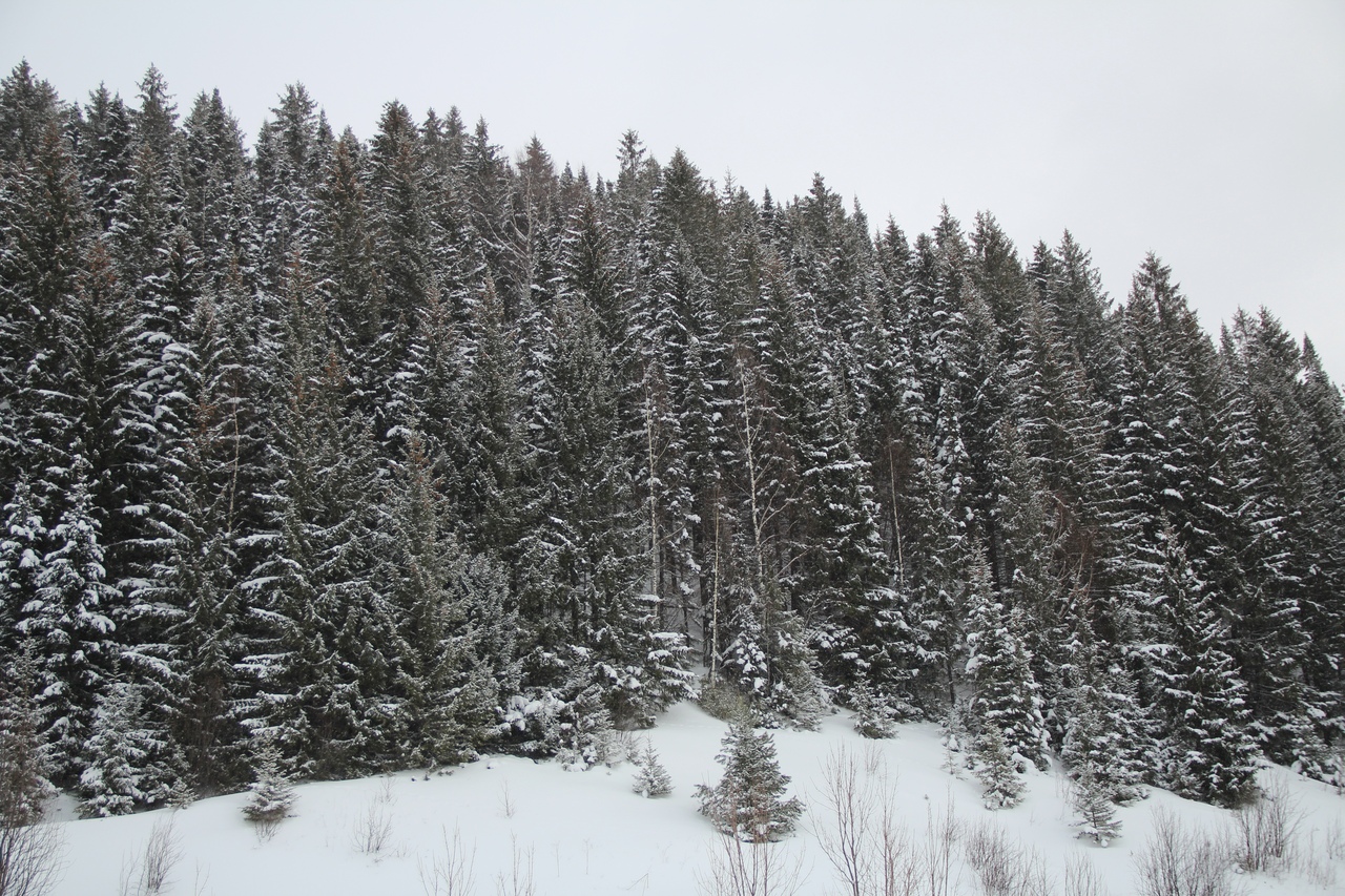 Фото База отдыха Калинино