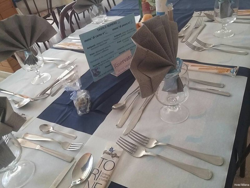 Фото Hotel Milena