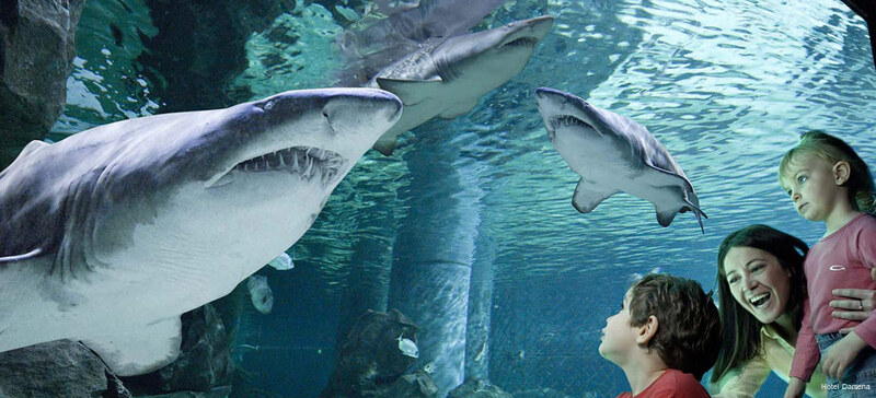 Фото Отель Darsena