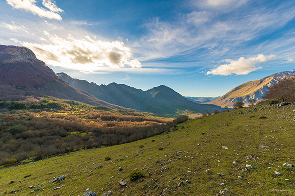 Фото Club Esse Mediterraneo