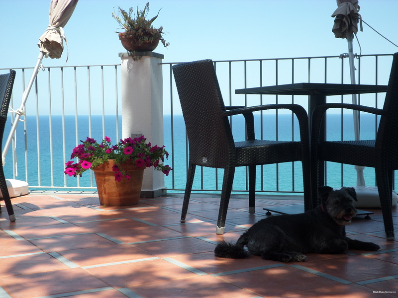 Фото B&b Baia Scirocco