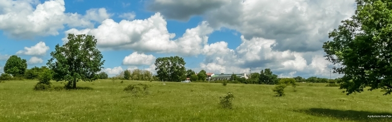 Фото Agriturismo San Fele