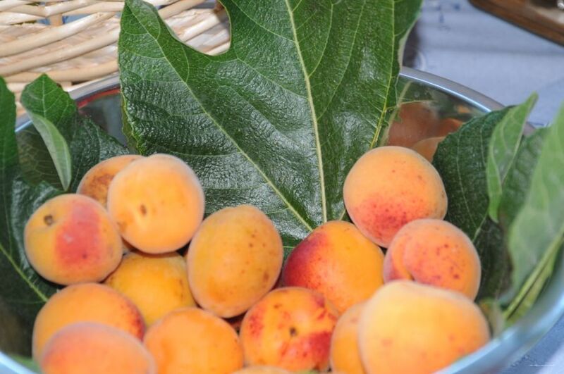 Фото Villamirella